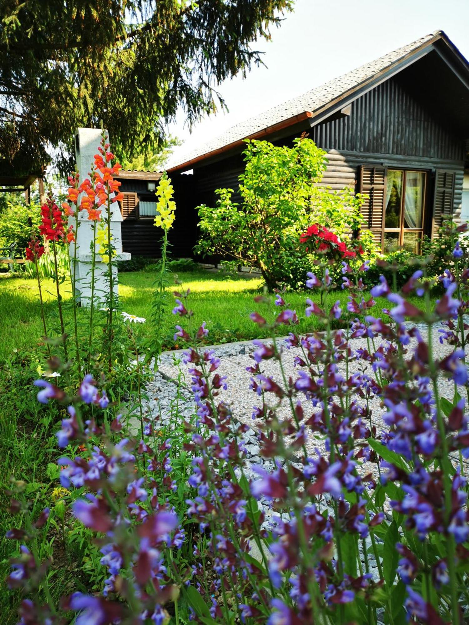 Merikotka - A Cozy Wooden Cottage, Slovenia Braslovce Bagian luar foto