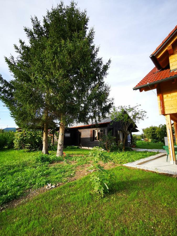 Merikotka - A Cozy Wooden Cottage, Slovenia Braslovce Bagian luar foto