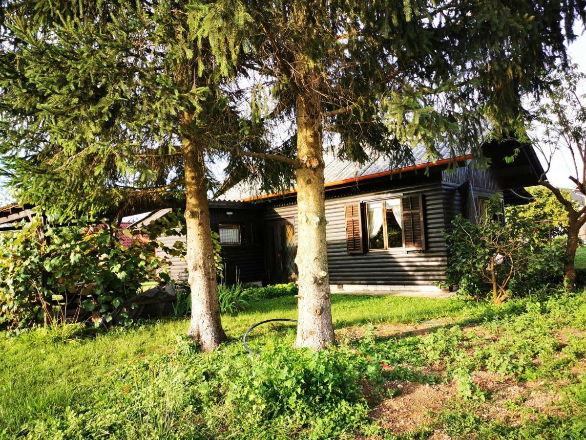 Merikotka - A Cozy Wooden Cottage, Slovenia Braslovce Bagian luar foto